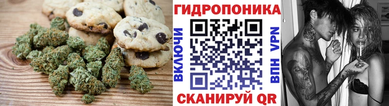 продажа наркотиков  Закаменск  Еда ТГК конопля 