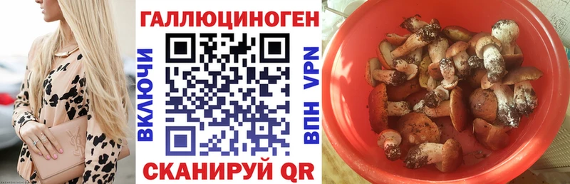 Псилоцибиновые грибы ЛСД  купить наркотики сайты  Закаменск 
